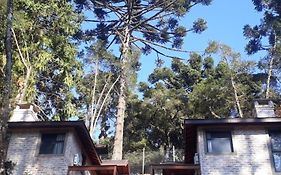Villa Pinhas e Flores